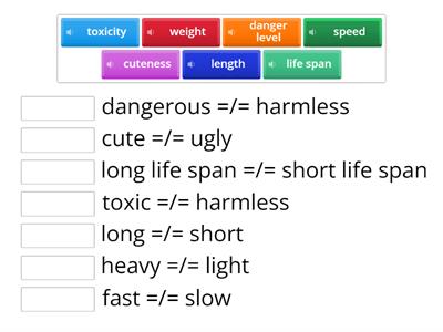 Match the adjective to the noun
