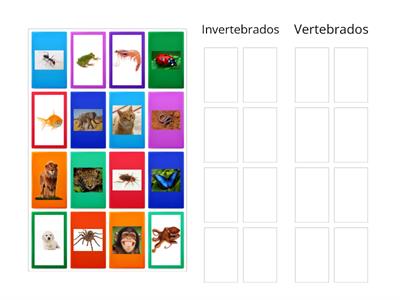 Animais Vertebrados e Invertebrados 2