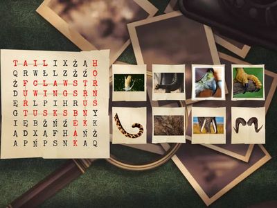 Stars & Heroes 3 Unit 2 b