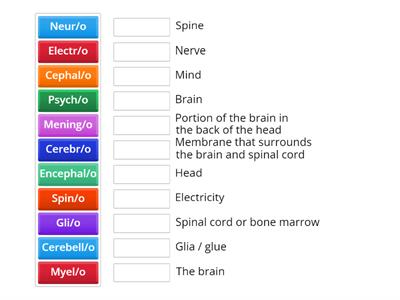 Nervous System