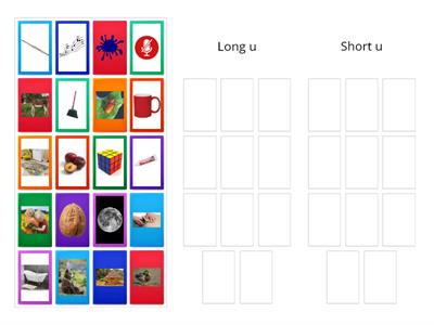 Long and Short u Picture Sort