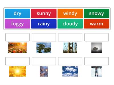 Rainbow English 4 Unit 6  Step 3