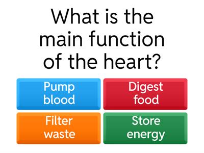 Heart Structure and Function Quiz