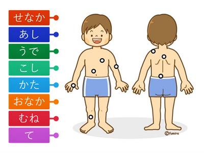 まるごと初級1L15 からだ