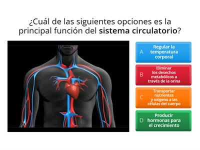 SISTEMA CIRCULATORIO