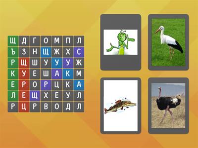  Думи с буква Щ