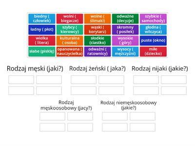  Rodzaje przymiotnika