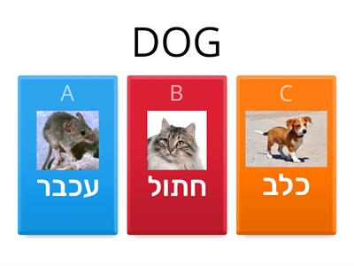 יותם אוצר מילים 