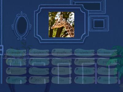 Unit 9 Get ready for movers animals