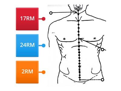 Les points du vaisseau conception