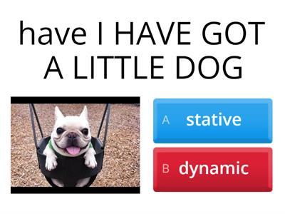 Stative and Dynamic Verbs