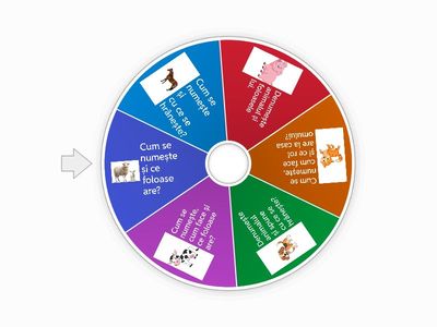 ROATA SURPRIZELOR - ANIMALE DOMESTICE