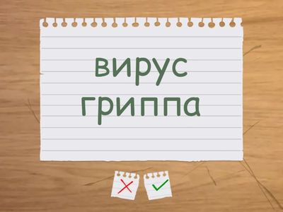 игра: микроб где живёшь?