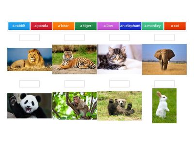 1D Book 1A Unit 5 Vocabulary