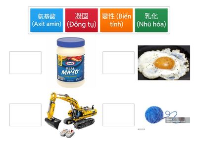 蛋白質功能配對 (Protein Functions)