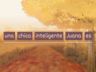 Noun/Adjective Word Order Practice