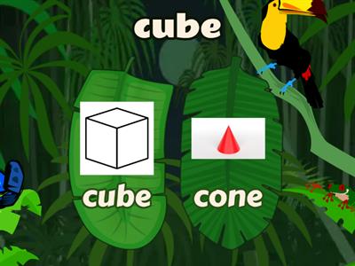 3 D shapes+rhombus & hexagon