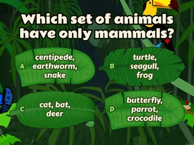 Animal Classification Super Quiz!