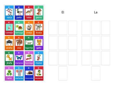 EL o LA Artículo Determinante Singular