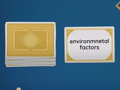 Take turns, choose a card, explain the phrase