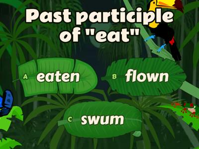 PAST PARTICIPLE VERBS