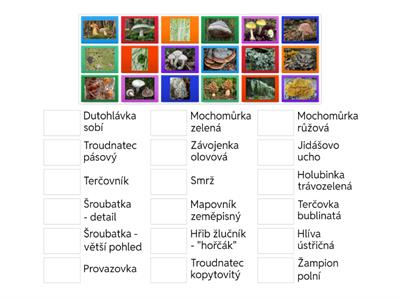 Houby, lišejníky, řasy - poznávačka