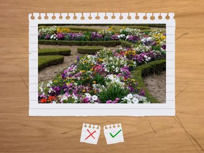  Things in the house Smiling Sam 4