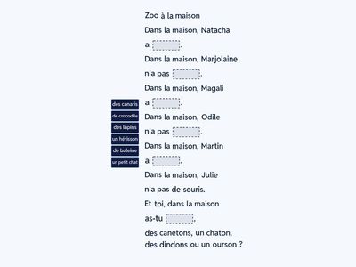 Texte 6: Zoo à la maison