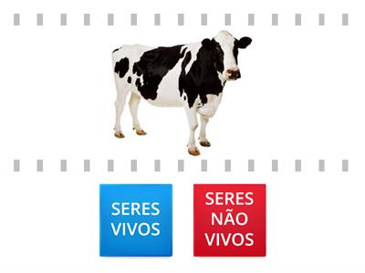 SERES VIVOS E NÃO VIVOS.