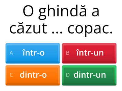 4. oszt. într-o, într-un, dintr-o, dintr-un