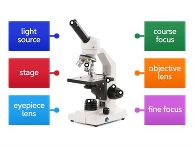 Label the microscope