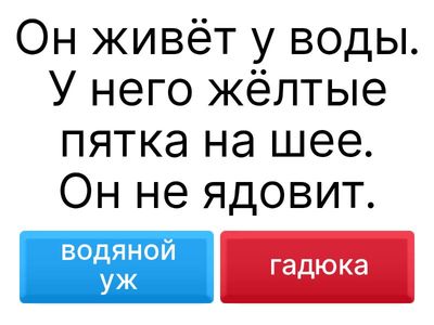 Matelijat ja sammakkoeläimet_VEmääritelmä