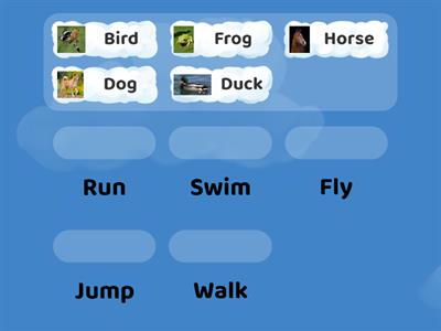 Animal abilities 