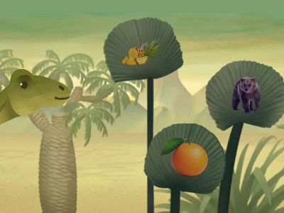 Frutas ELE Spanish A1