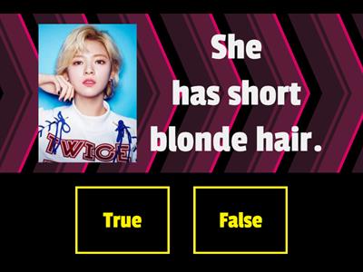 Lesson 8 - He has short straight hair (True or False Game)