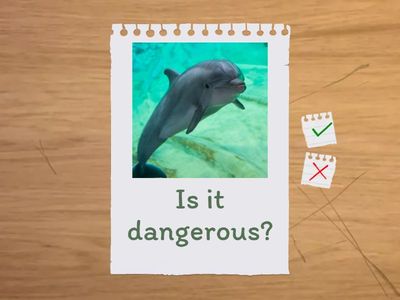 [3PRIMARIA] It is/ They are