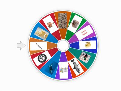Digraph Spinning Wheel