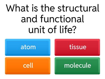 Class 9 biology SA 1