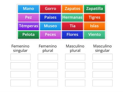 Clasificación de género y número de sustantivos