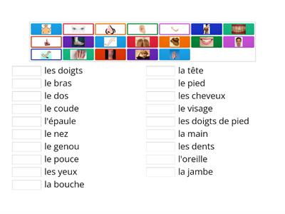 body parts match up