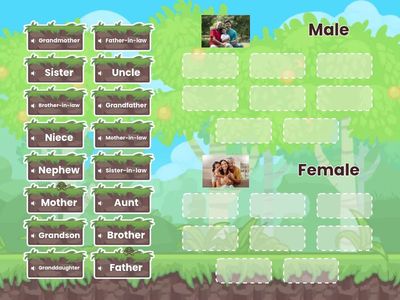 Family: Male or Female?