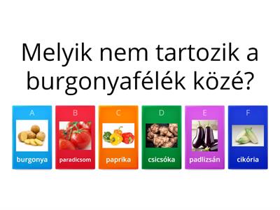 Burgonyafélék Kvíz