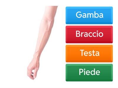 Quiz 2 sulle Parti del Corpo Umano