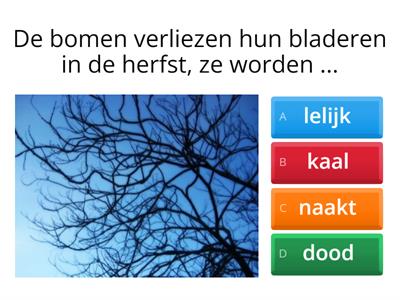 Quiz over de herfst niveau A2