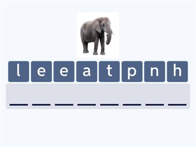 1B  Ch.4  Animals-spelling game