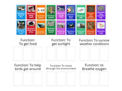 Structures and Functions