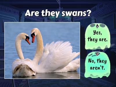 The Fly High 2 Review 2