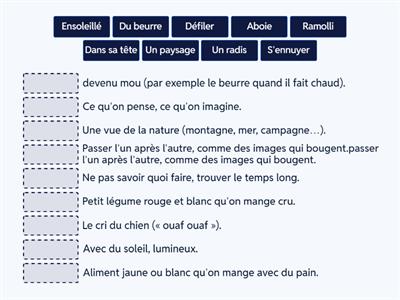 Vocabulaire- CM1 FLSCO