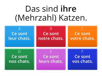 les adjectifs possessifs II - notre/nos, votre/vos, leur/leurs (TE1 - L6)