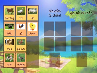 Gia súc - gia cầm